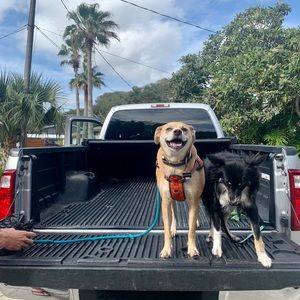 Meet your Posher, Alicia